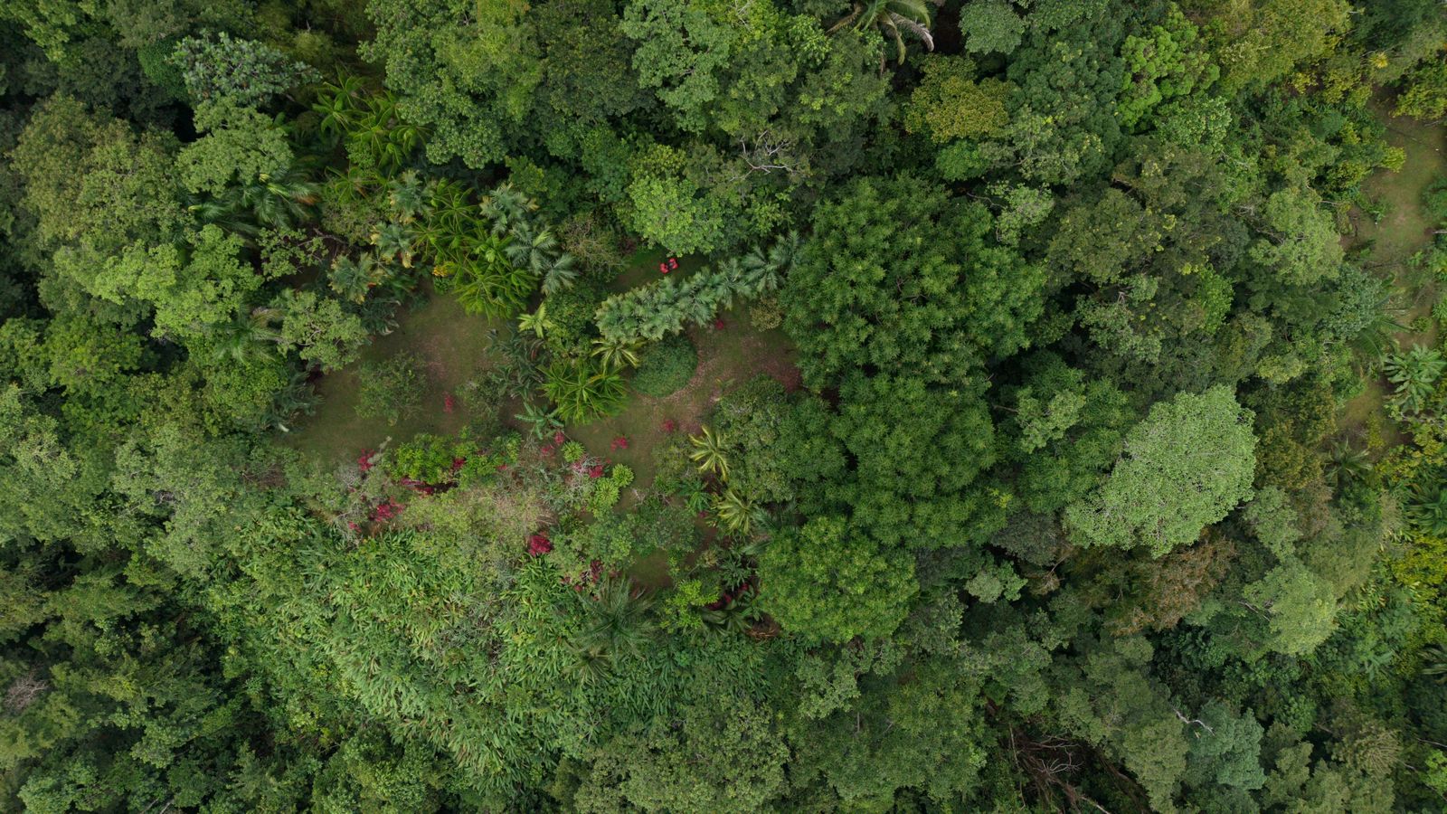 Vue drone claire
